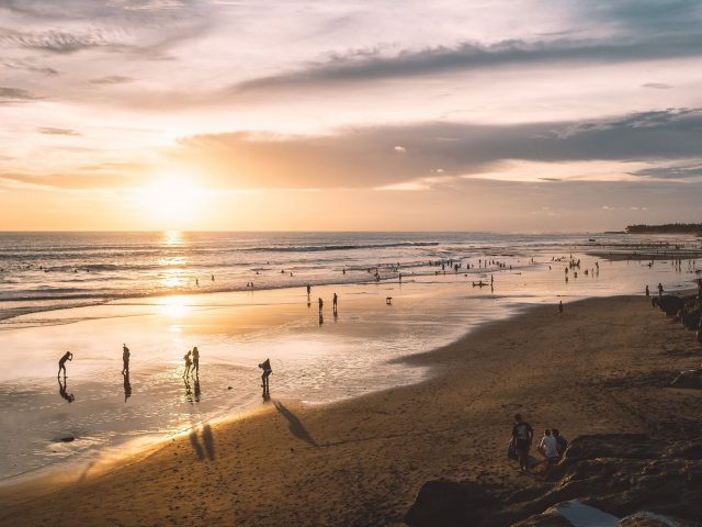 pexels-maria-orlova-4913512 pexels-maria-orlova-4913512